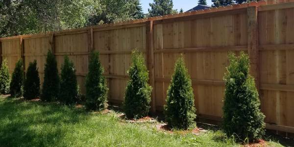 Wood Fence Jacksonville